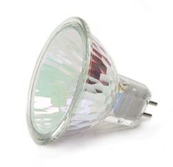 Halogen Bulb